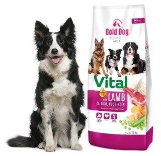 Gold Dog Premium Vital Lamb & Rice 12kg dla Border Collie Medium end Large Breeds