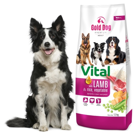 Gold Dog Premium Vital Lamb & Rice 12kg dla Border Collie Medium end Large Breeds