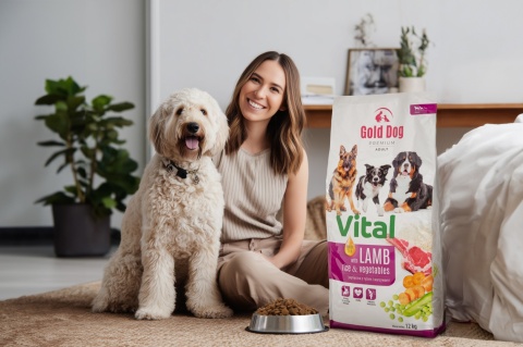 Gold Dog Premium Vital Lamb & Rice 12kg dla Border Collie Medium end Large Breeds