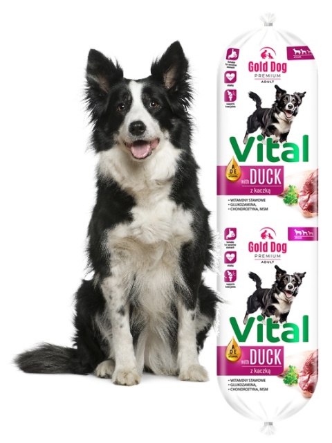 Gold Dog Vital Duck Kaczka Baton 900g